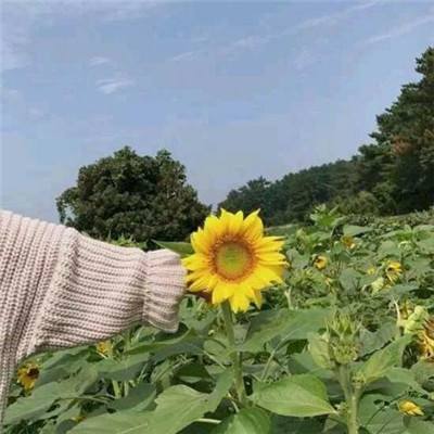 武道神尊超级变态游戏下载