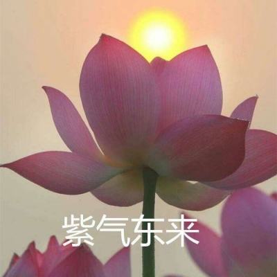 乐云围棋最新版下载